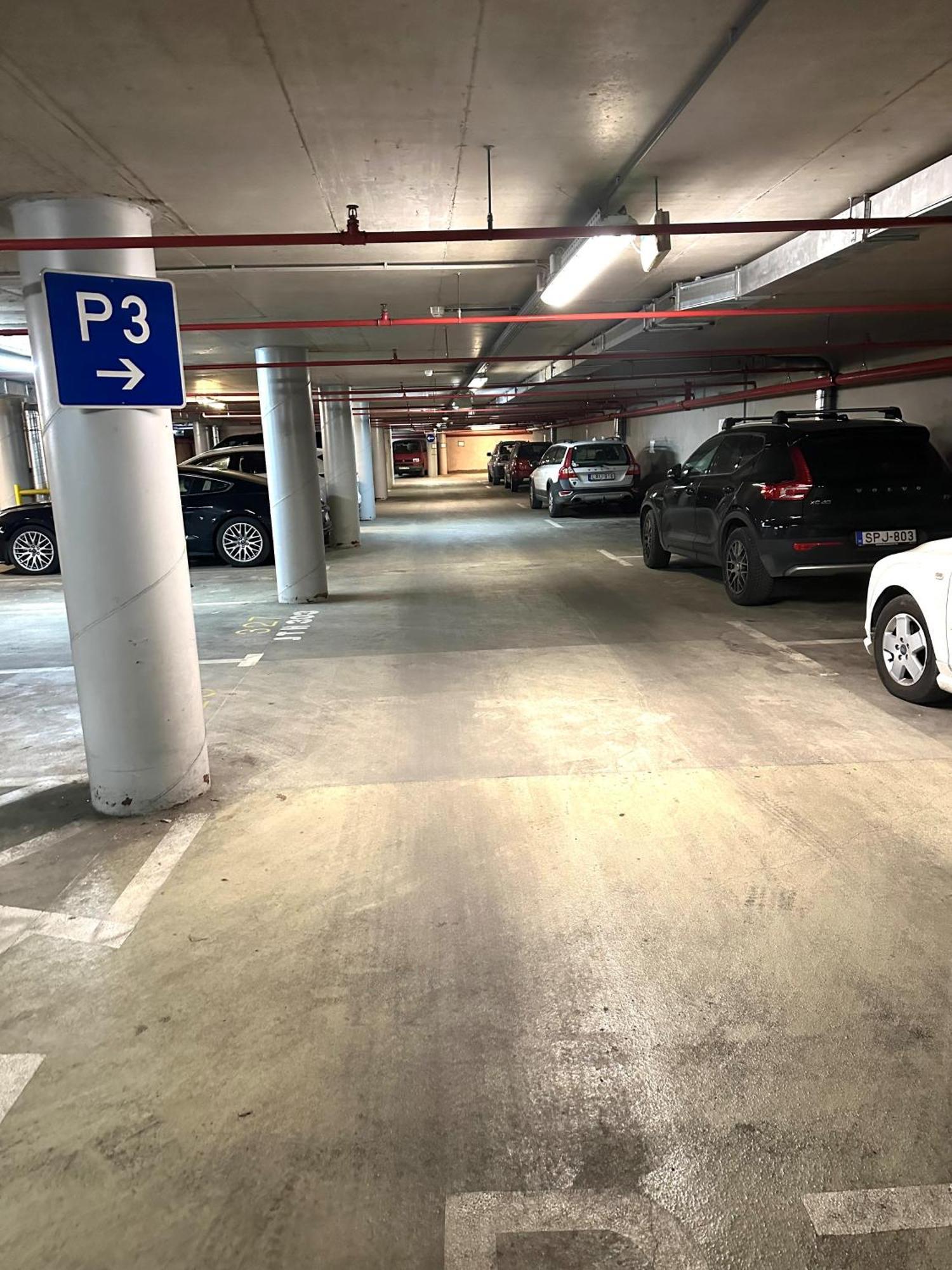 Peony Hollo Apartment - Free Garage Under The House Budapest Luaran gambar
